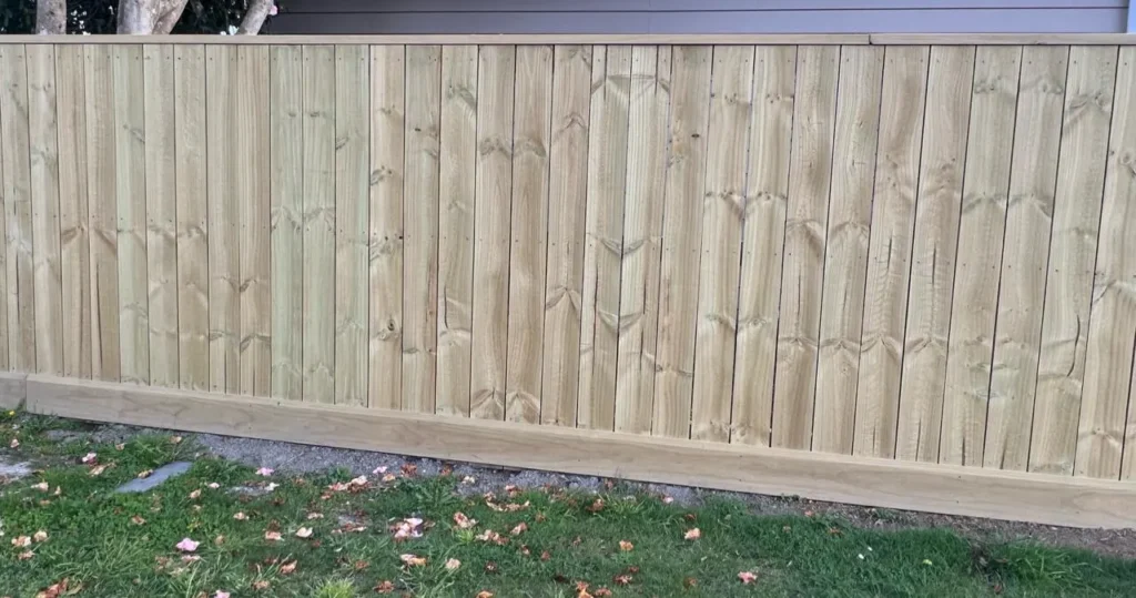 WhatsApp Image 2025-08-04 at 10.11.28 PM