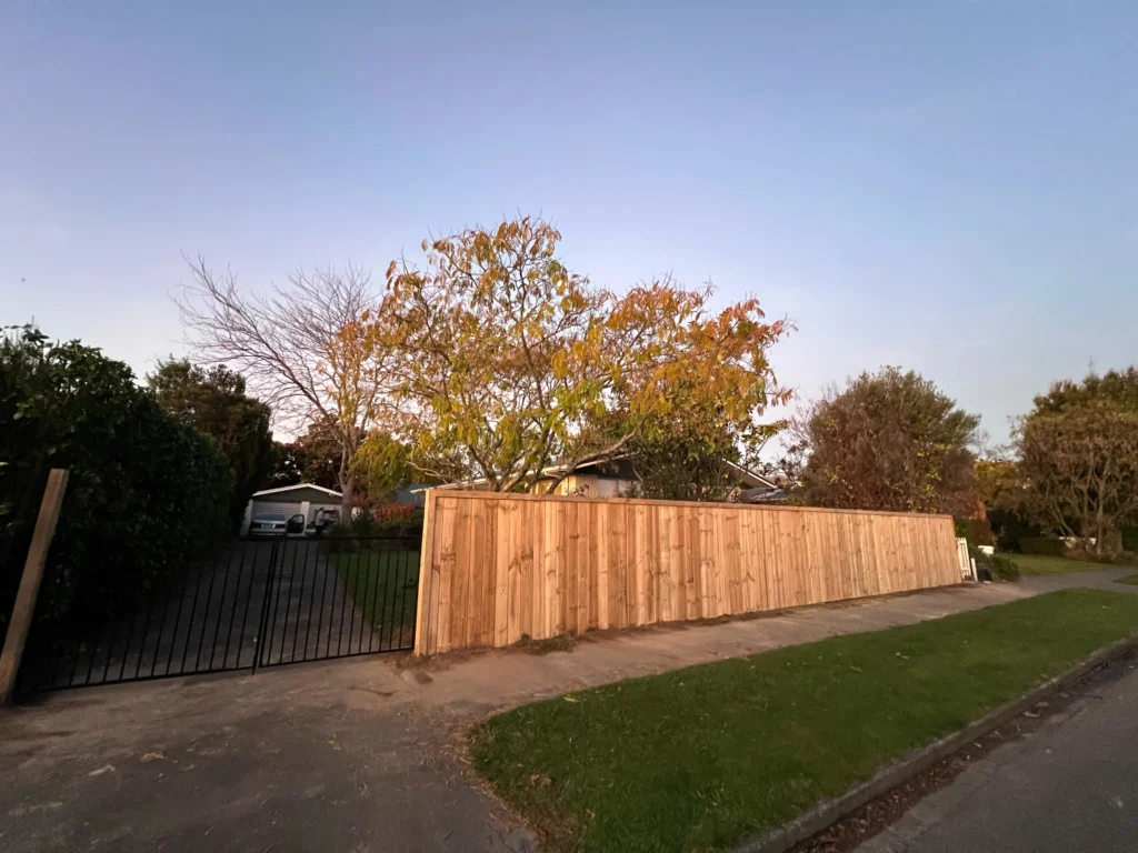 WhatsApp Image 2025-08-04 at 10.21.37 PM (1)